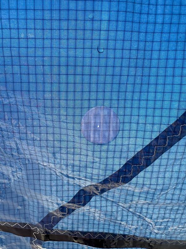 Slingshot - RPM 2019