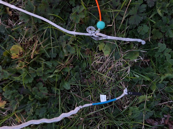 Rrd - Emotion 17m. MK4 (2019)