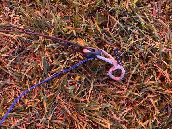 Slingshot - RPM
