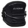Dakine  Chameleon