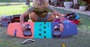 Rrd  Split-Board Fifty-Fifty