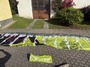Flysurfer  Peak