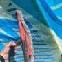Liquid Force  NW
