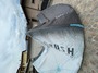 Airush  Razor