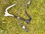 Cabrinha  Trimlite Overdrive