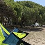 Naish  Naish Pivot 2025