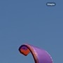 North   mono 2018