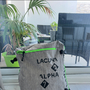 Lacuna  Alpha
