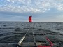 Naish  Pivot 11