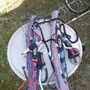 altra  3 barre pacchetto Cabrhinia/ naish 
