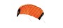 Rrd  Trainer Kite MK2
