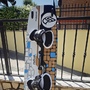 Flysurfer  Radical 5