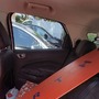 North  Prime freeride 152×45