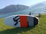 Rrd  Dolphin