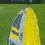 Flysurfer  Sonic 4 15m